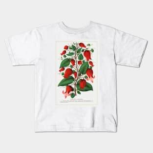 Red Flower, Clematis Coccinea Lithograph (1900) Kids T-Shirt